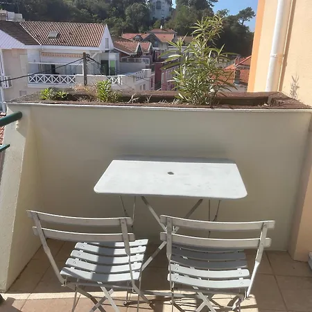 - T3 Avec Terrasse Et Parking